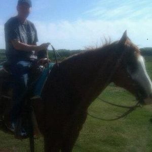 Meet your Posher, April